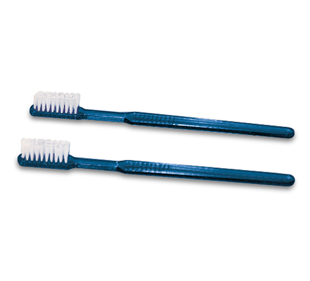 8291221_1_1 Einmal-Zahnbürste mit Paste