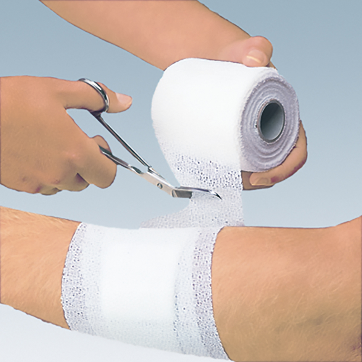 2060408_2_45WvunSg8ogQhI