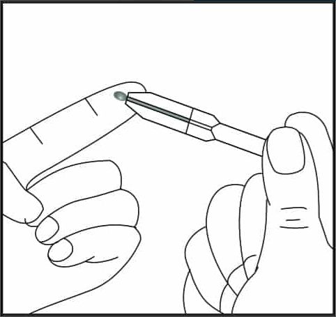 5908856_Kapillaren_4