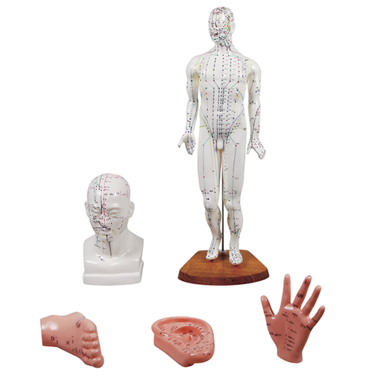 9515206_1 Chinesisches Akupunkturset