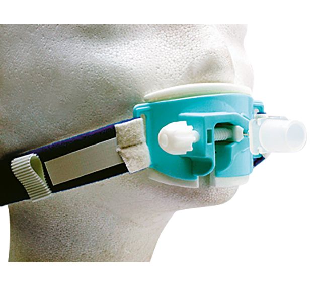 8112621_2_1_13rMreoK2MgJmv