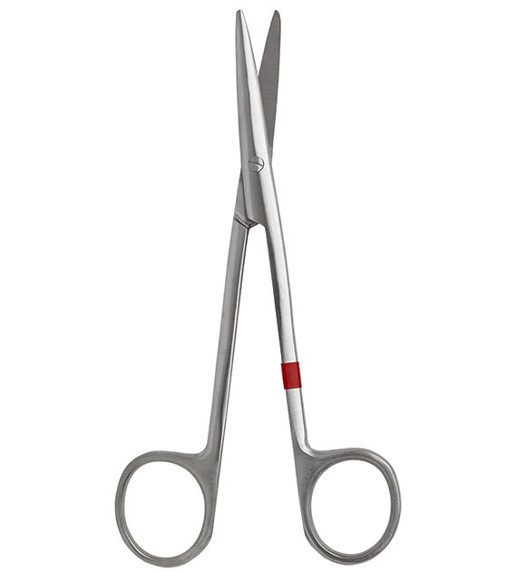 17248454kGWunQTPlM9ef