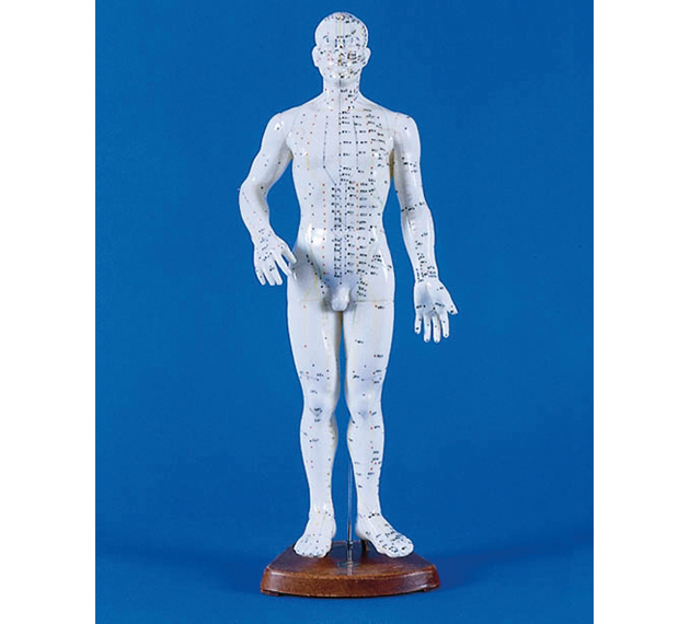 9402149_2_1ElkNmIyYPBLyP Akupunkturfigur